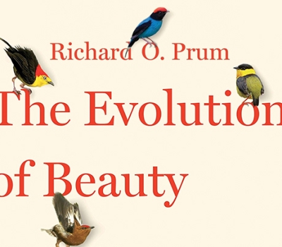 The Evolution of Beauty with Richard O. Prum
